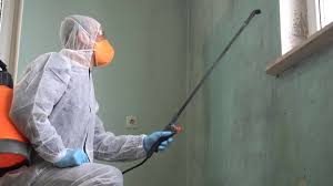 Best Emergency Mold Remediation  in Mena, AR