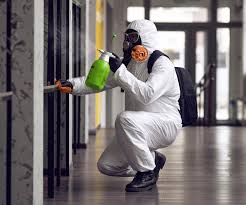 Best Comprehensive Air Testing for Mold Contaminants  in Mena, AR