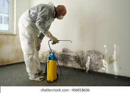 Best Mold Prevention Services  in Mena, AR